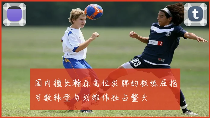 国内擅长瀚森高位发牌的教练屈指可数韩登与刘维伟独占鳌头